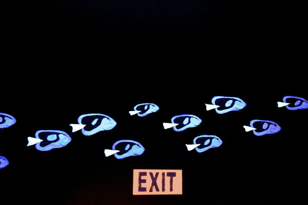 退出标志鱼类流动物种灭绝海洋资源捕捞图片下载