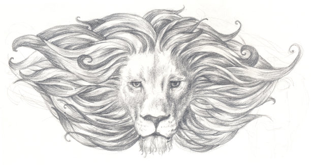 狮子图片下载