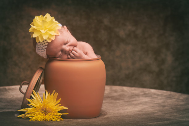 刚出生的婴儿在花盆和花图片下载