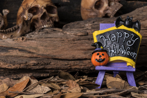 欢迎万圣节派对板与人类头骨和森林背景图片下载