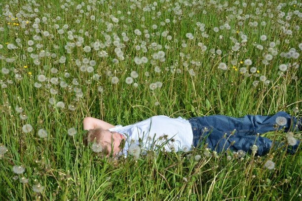 一个男孩躺在长满鲜花的草地上图片下载