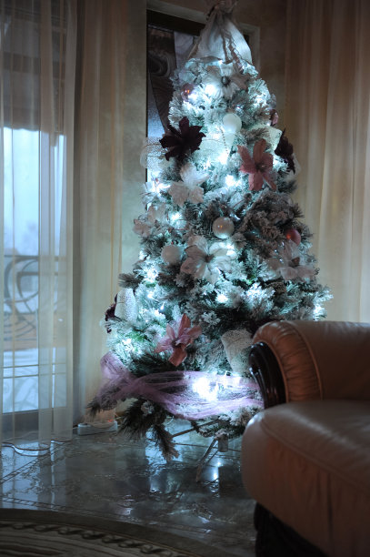 点亮家里的圣诞树图片下载