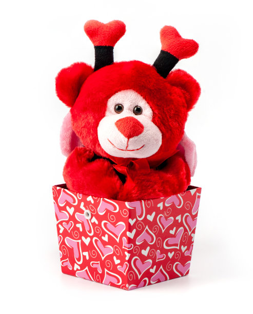 盒子里的熊图片下载