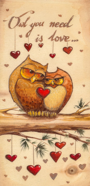 猫头鹰图片下载