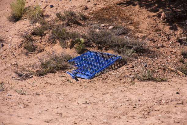 垃圾在自然界中图片下载