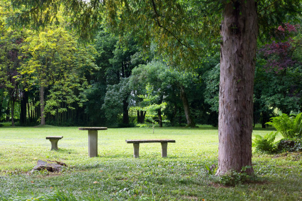 公园里的长椅和桌子图片下载