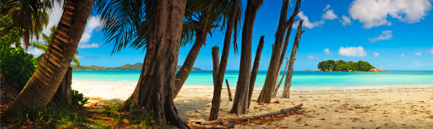 全景式热带海滩黎明Praslin岛塞舌尔印度洋图片下载