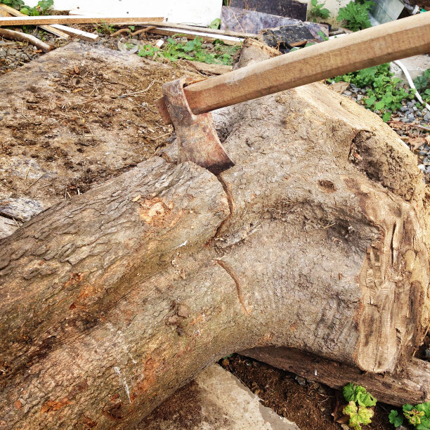 日志和斧图片下载