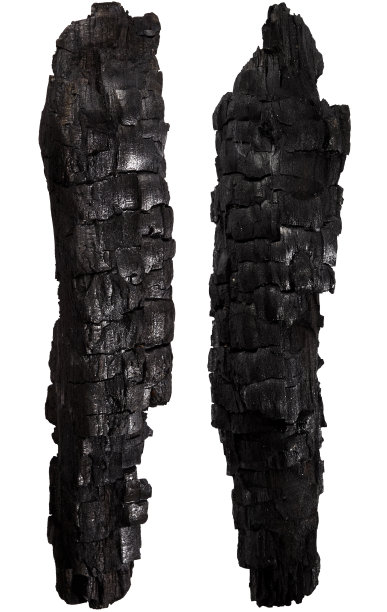 烧焦的木头图片下载