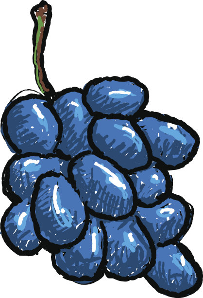 蓝色的葡萄图片下载