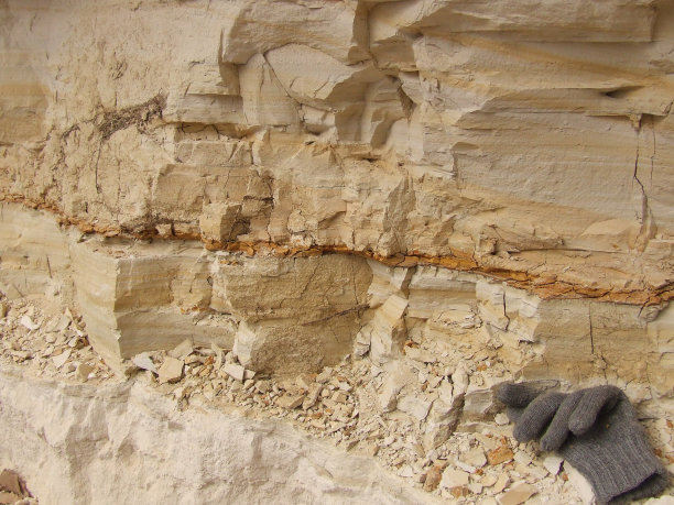 剩下的是什么图片下载