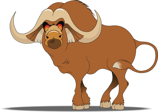 水牛图片下载