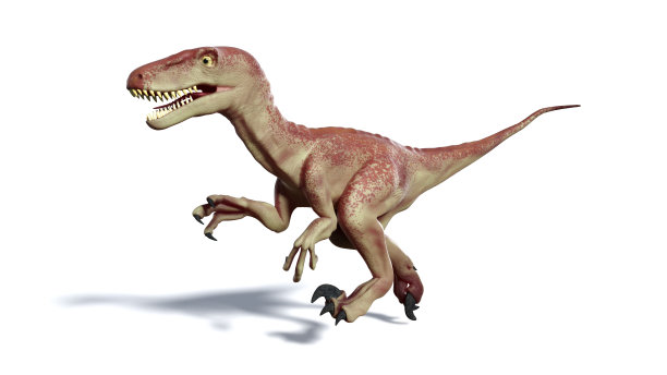 运行的厉爪属恐龙素材图片