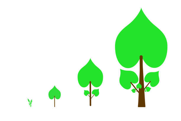 一组树的图像从胚芽到大树图片下载