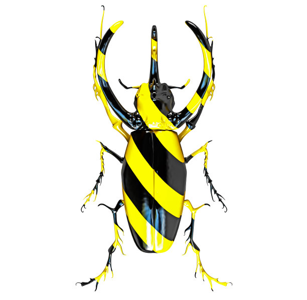 危险的颜色甲虫图片下载