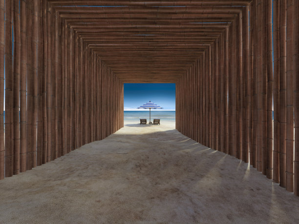 竹隧道覆盖人行道到海滩图片下载