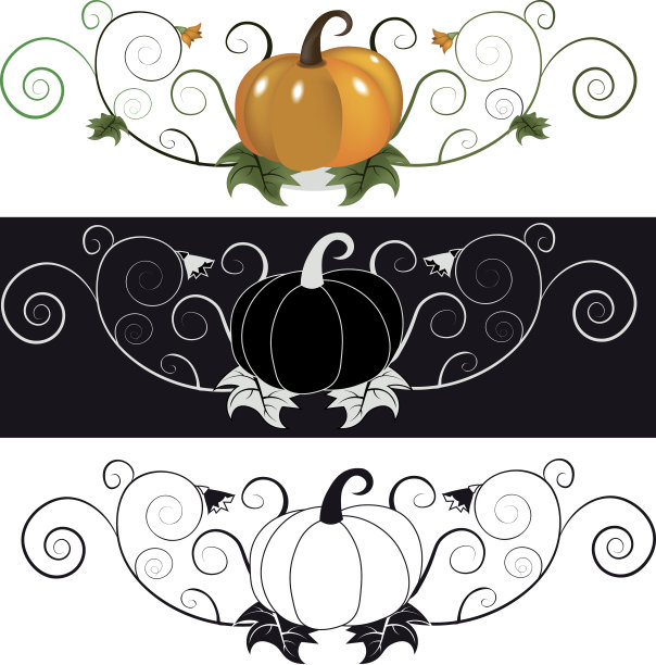 南瓜的背景图片下载