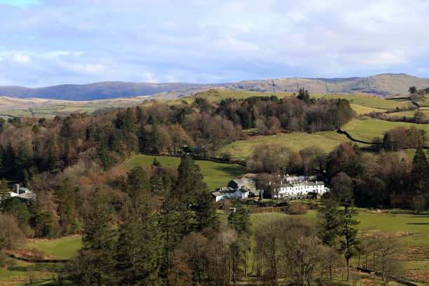 从湖区的景观图片下载