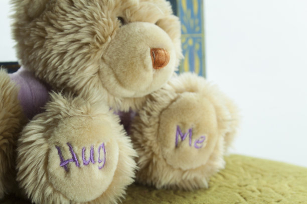 泰迪熊图片下载