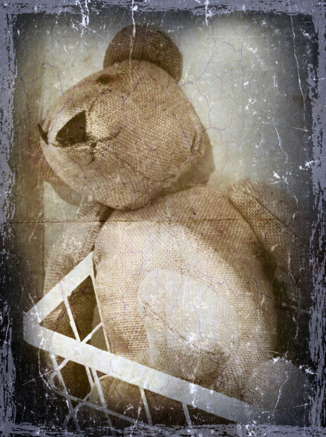 老泰迪图片下载