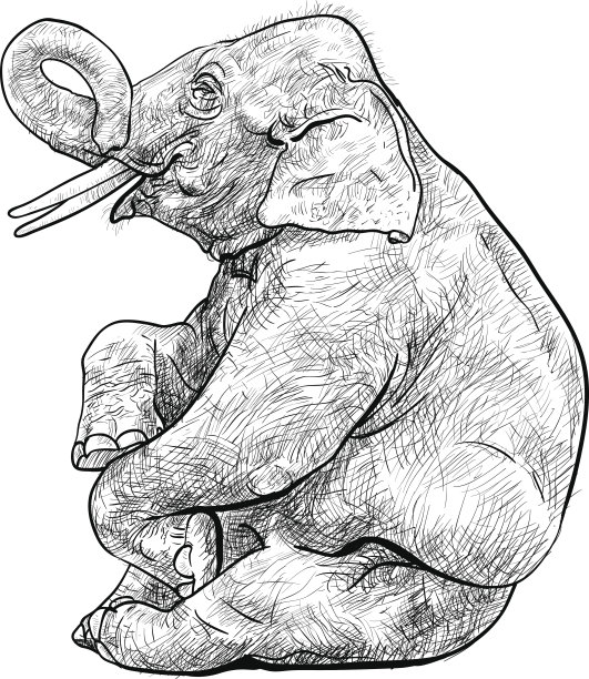 象显示,向量。图片下载