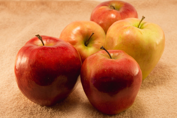 成熟的苹果图片下载