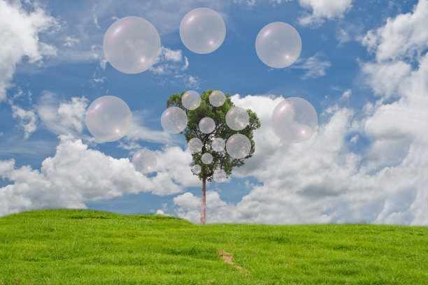 这棵树提供新鲜空气。图片下载