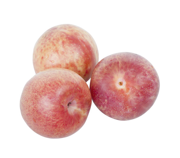 在白色的背景上孤立的成熟的粉红色的李子。图片下载