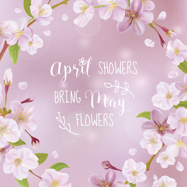 樱花春天卡片-与报价素材图片