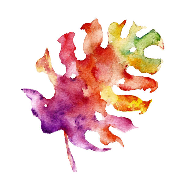 孤立的白色背景与彩色的叶子。水彩插图。素材图片