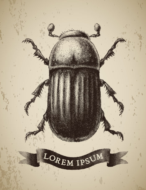 矢量抽象甲虫画在复古蚀刻风格图片下载