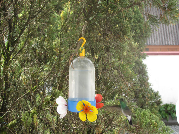 在我的房子花园图片下载