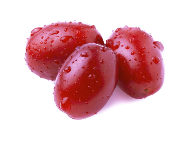 山茱萸贝瑞孤立。图片下载