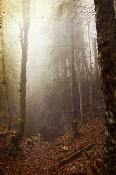 穿过秋天树林的小路的古老照片图片下载