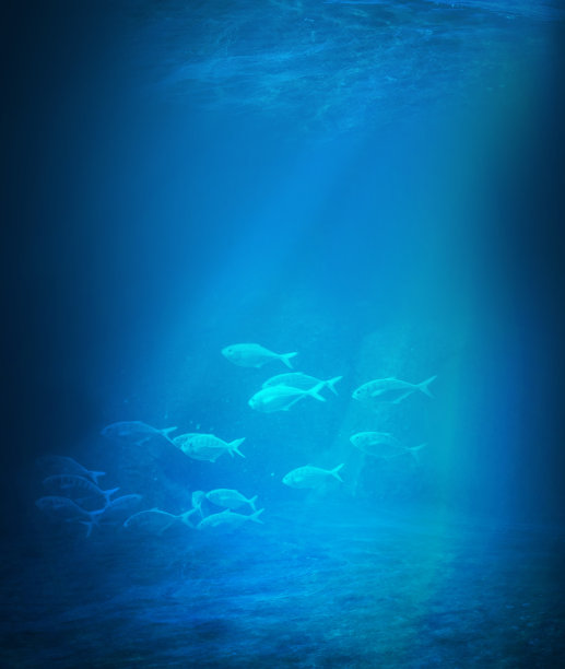 水下的背景图片下载