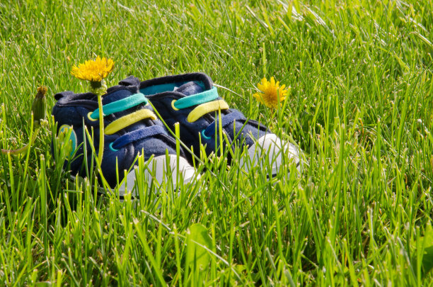 绿色草地上的婴儿鞋图片下载