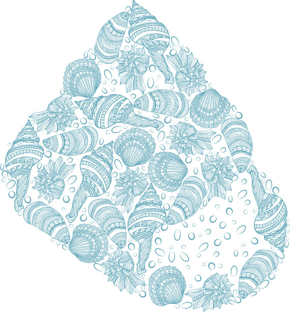 装饰的背景在贝壳的形状从贝壳图片下载