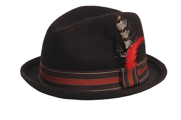 旧的棕色羽毛帽子图片下载