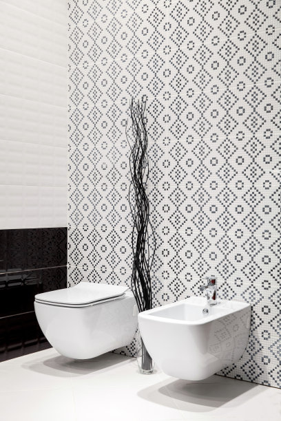 现代抽水马桶图片下载