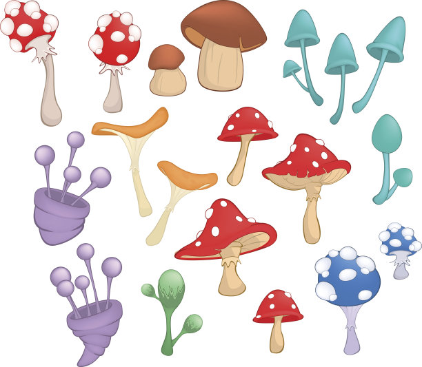 不同蘑菇的电脑游戏和你的设计图片下载