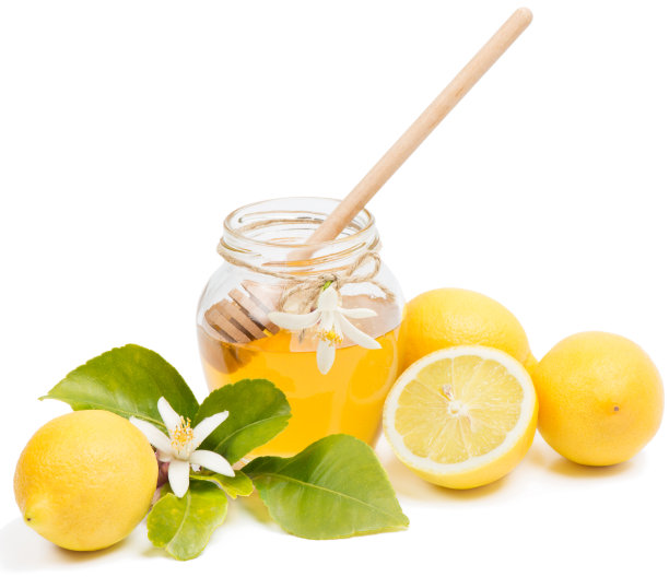 阿扎哈的宝贝图片下载