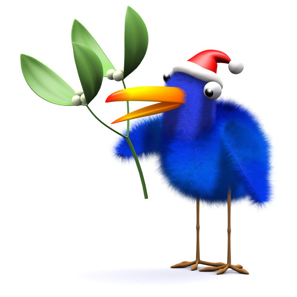 3d蓝鸟有一些槲寄生图片下载