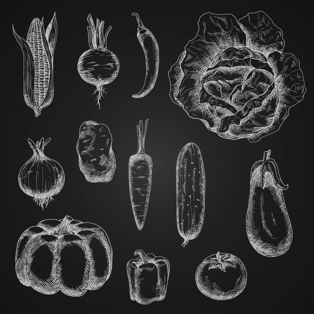 秋菜用粉笔速写集图片下载