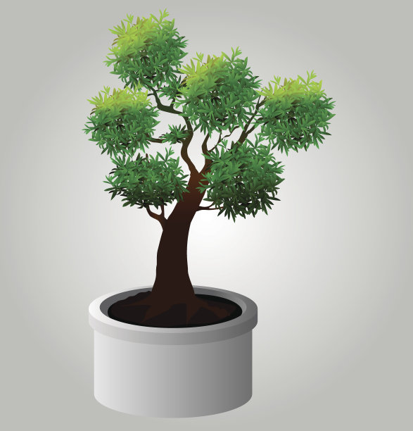 树，白色背景上有叶子的树图片下载