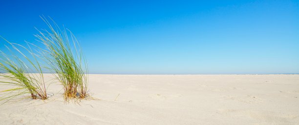 波罗的海。图片下载