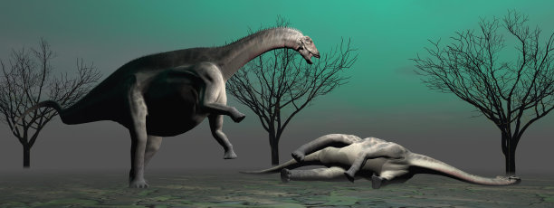 两个恐龙图片下载