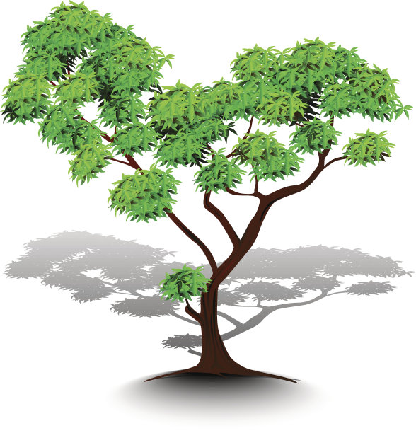 树木与树叶在白色的背景，矢量树下降的阴影图片下载