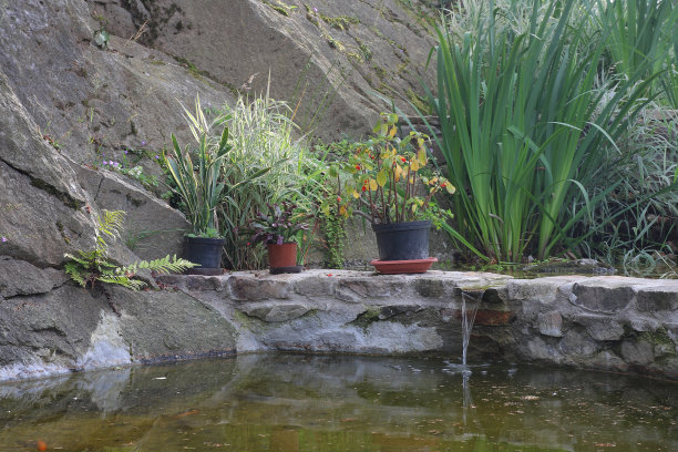 花园水湖图片下载