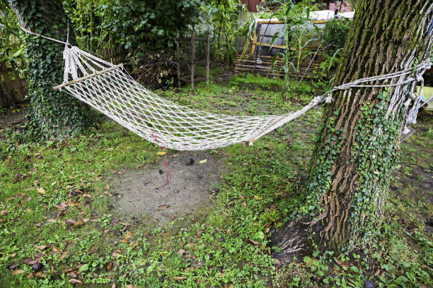 舒适的网眼吊床伸展在两棵树之间图片下载