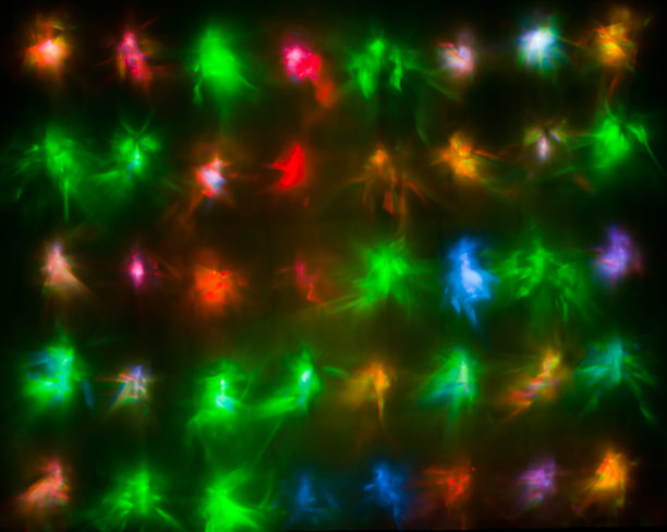 圣诞树小彩灯图片下载